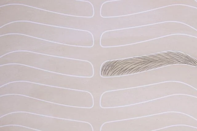 Brow hair-stroke pattern practised on training skin
