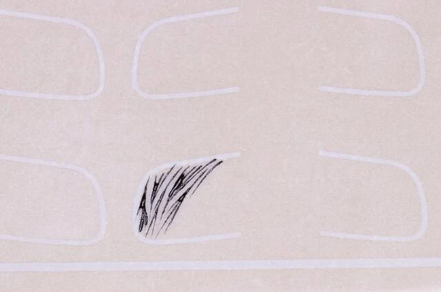 Individual brow hair strokes practised on training skin
