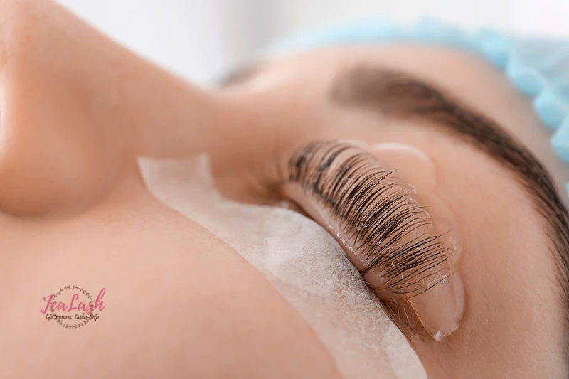 Brow lamination, lift and tint result