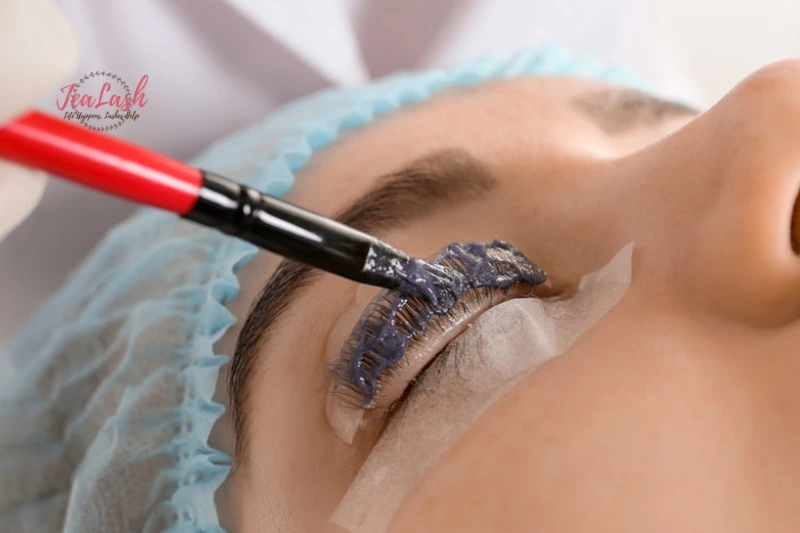 Eyelash tint treatment at Jealash Beauty Studio