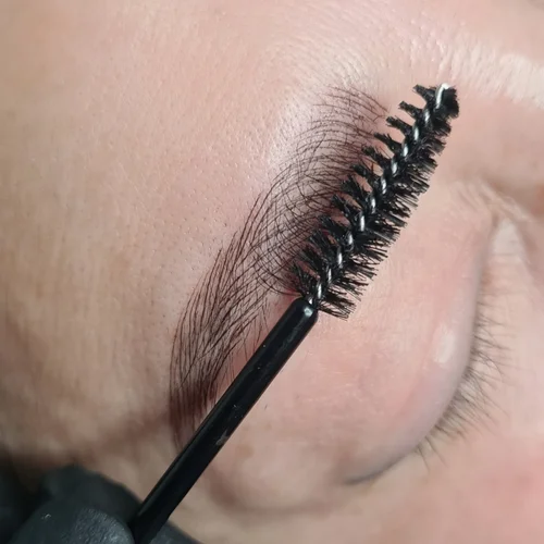 Eyebrow embroidery reference